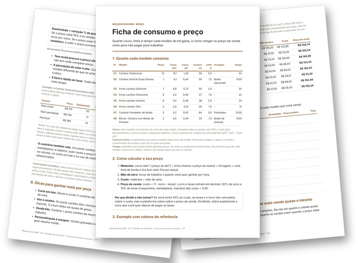 Páginas do bônus Ficha de consumo e preço